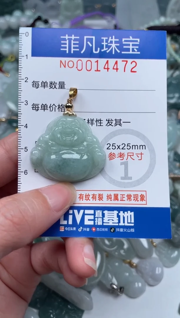 颈饰未镶嵌翡翠14472