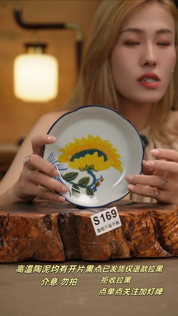 其他WS169新十二器陶瓷