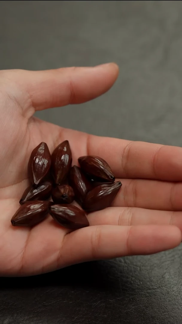 手串橄榄核橄榄核