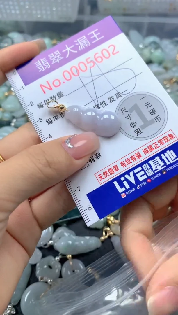 颈饰未镶嵌翡翠5602