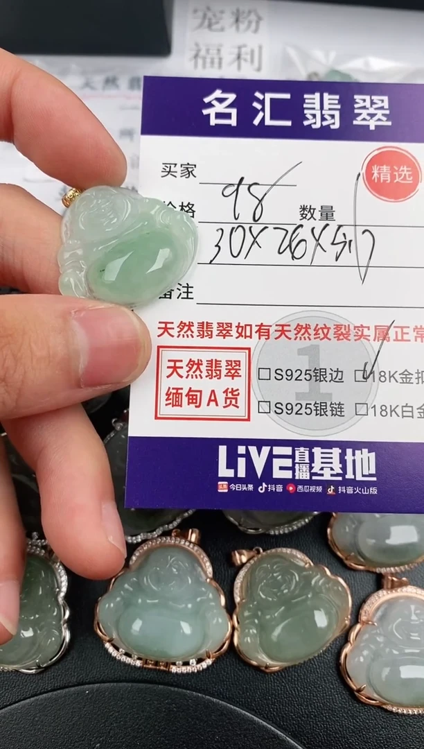 翡翠银S925镶嵌颈饰·