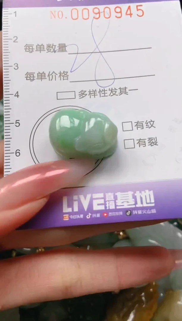 【闪购商品】翡翠颈饰未镶嵌闪购0090945