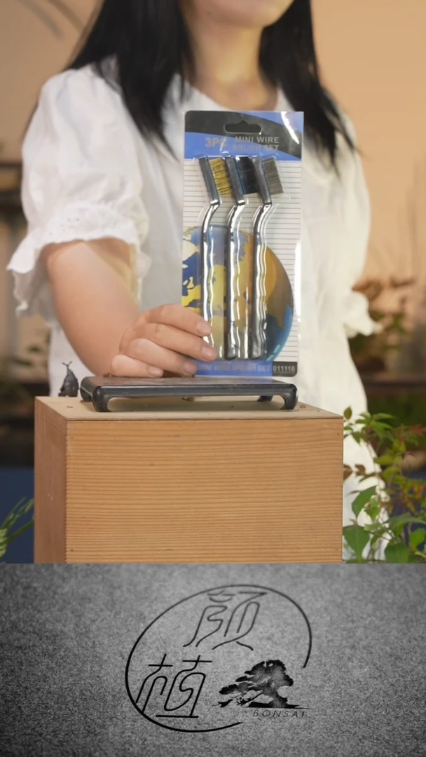 完全开放?****࿐017  草本植物 中通