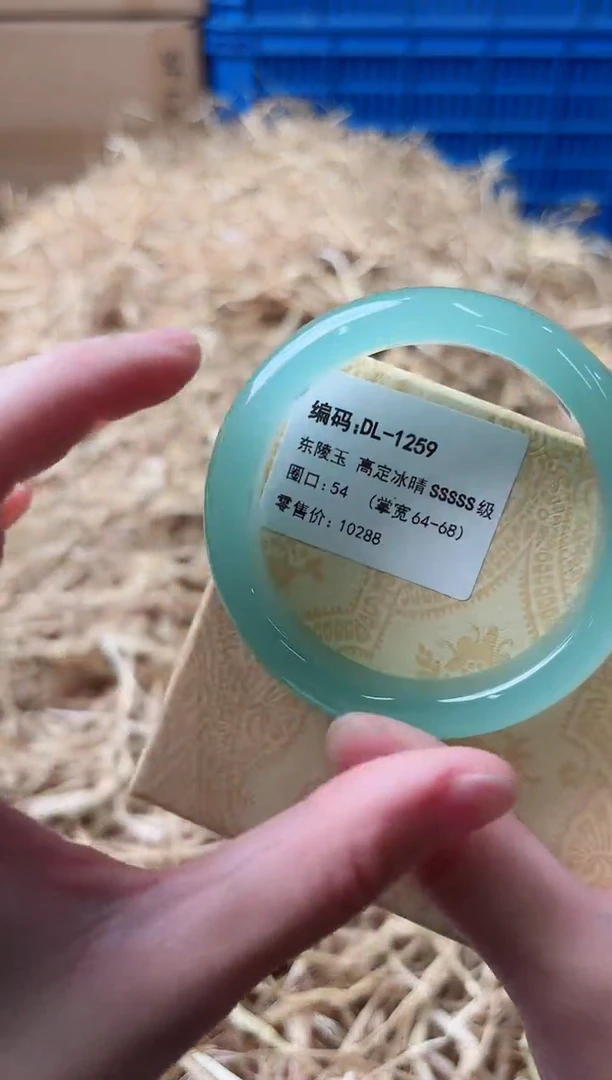 未镶嵌手镯石英质玉DL-1259