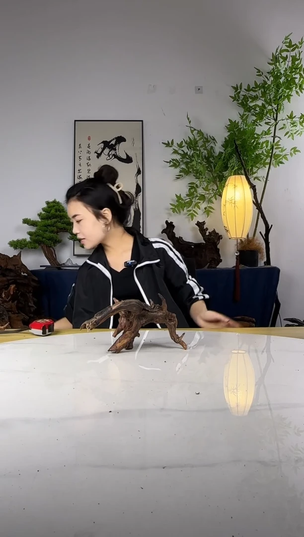 用****5拍这个定向编号11