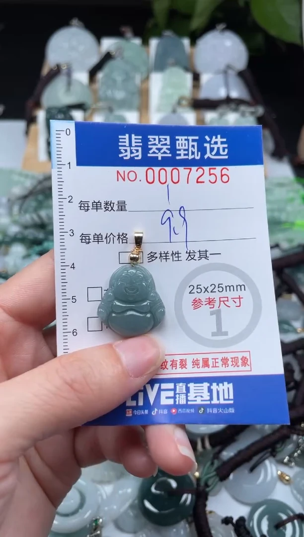 【闪购商品】翡翠未镶嵌颈饰00..7256