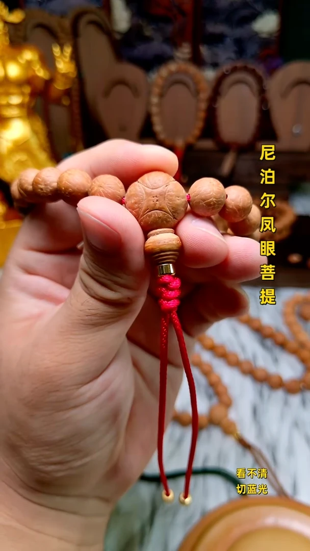 手串凤眼菩提新籽11