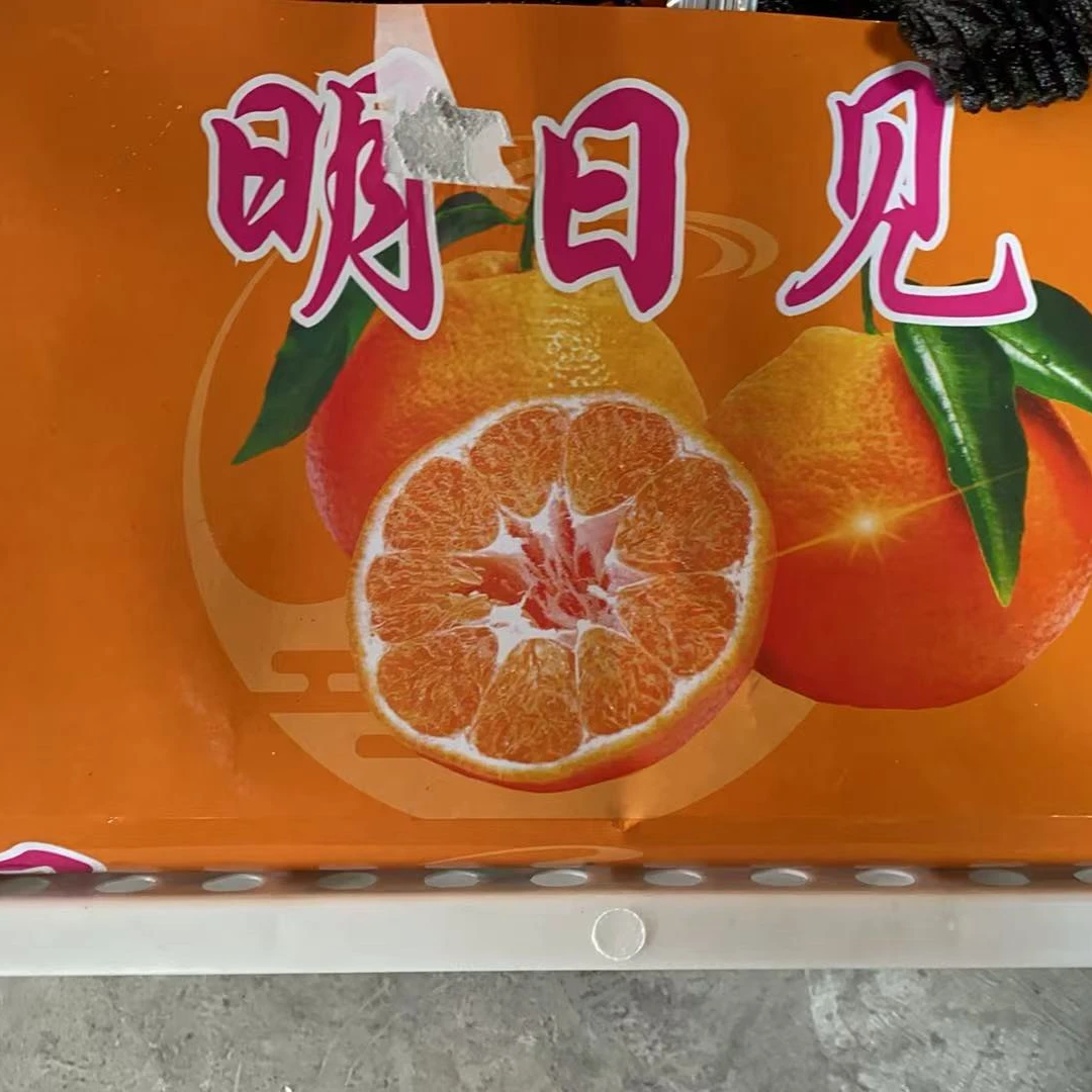 明日见柑橘四川  散装5斤柑橘四川省眉山市