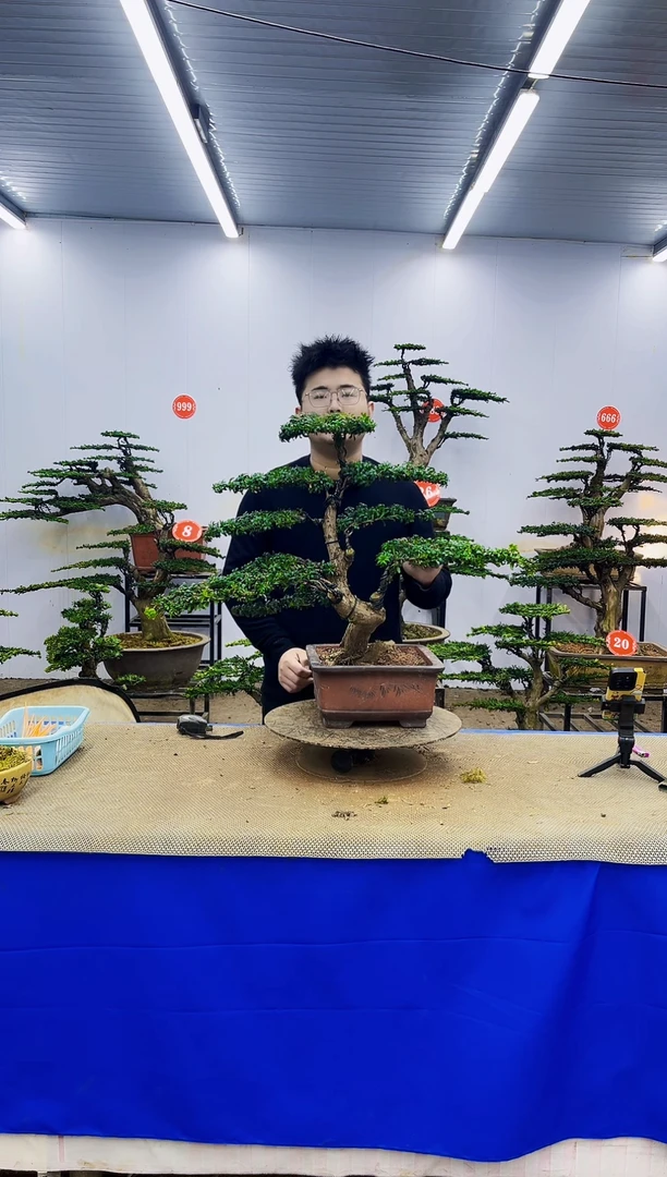 完全开放一物一拍，所见即所得