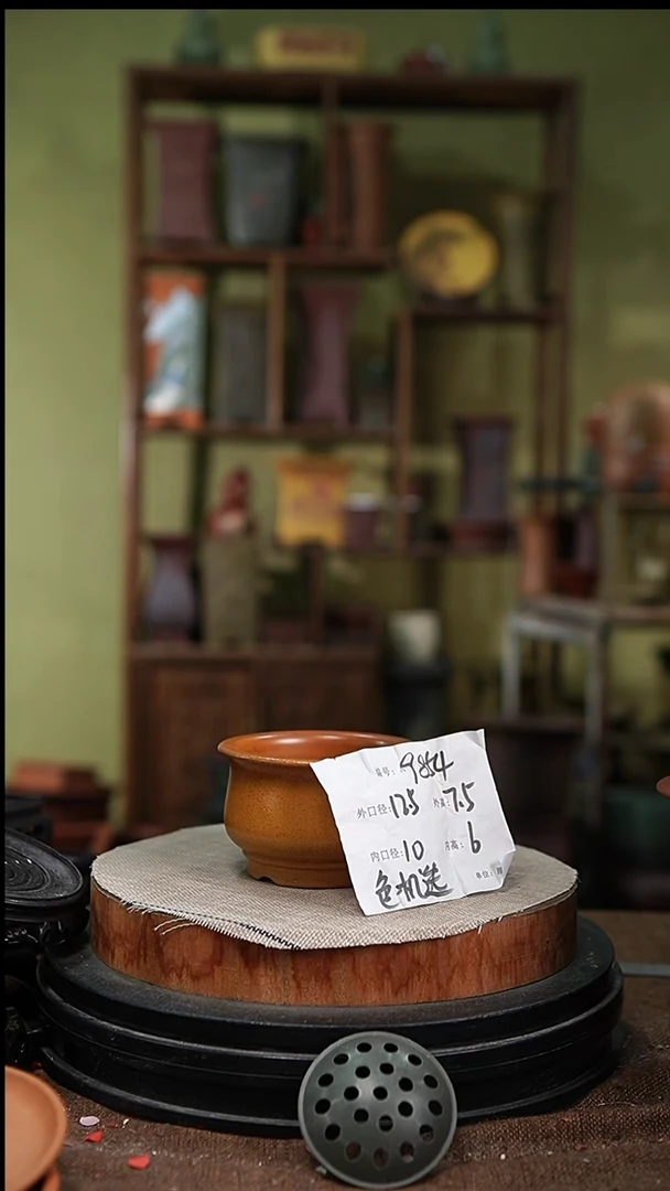 紫砂花盆花卉园艺9854