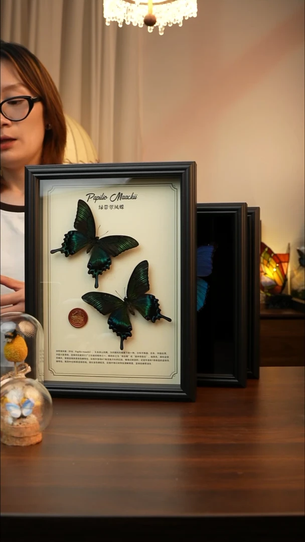 绿带翠凤蝶夏款双蝶A075