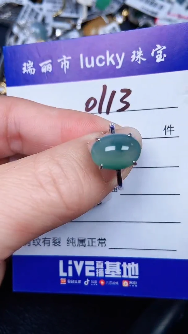 颈饰银S925镶嵌翡翠113