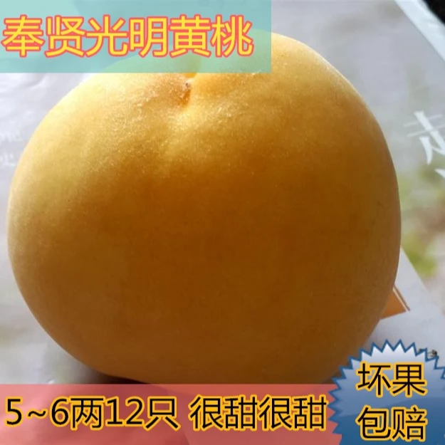 正宗上海奉贤光明锦绣黄桃5~6两12只桃子 新鲜水果红心黄桃纯甜