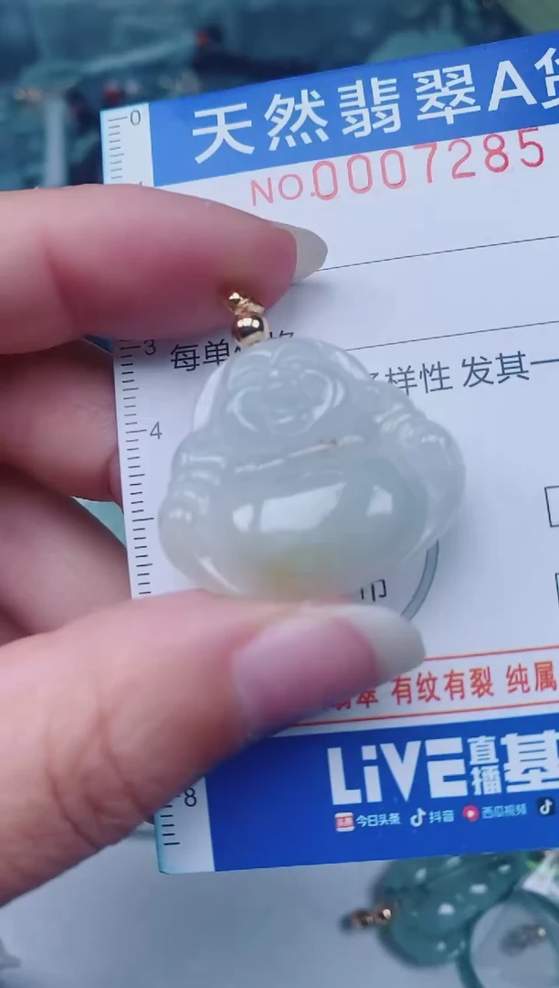 颈饰未镶嵌翡翠00007285