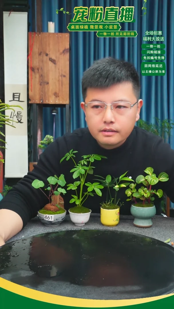 无花朵动**次苔藓微景观461号