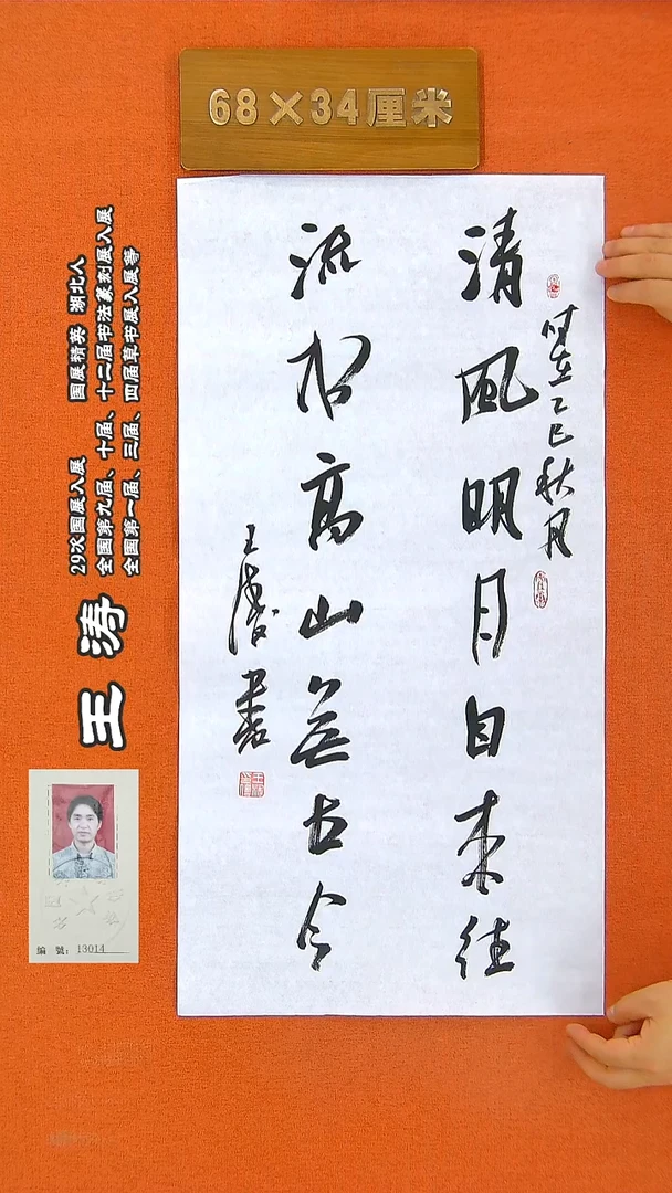 书法40王涛书法作品