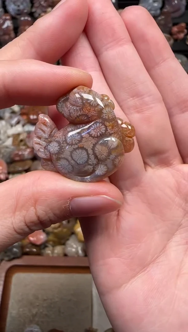 颈饰未镶嵌硅化珊瑚（珊瑚玉）147