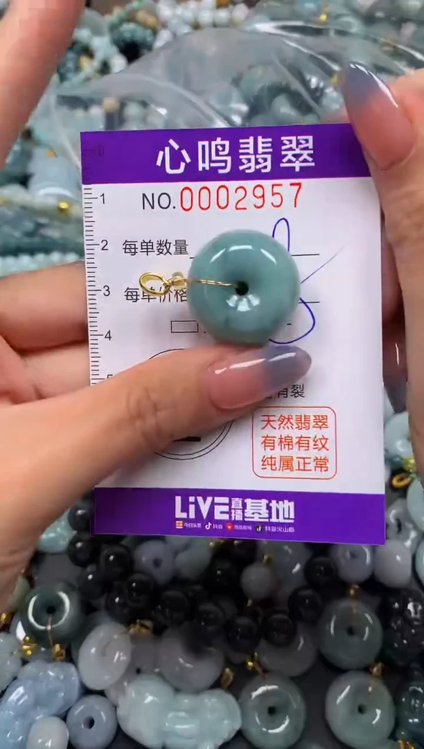 颈饰未镶嵌翡翠闪购002957
