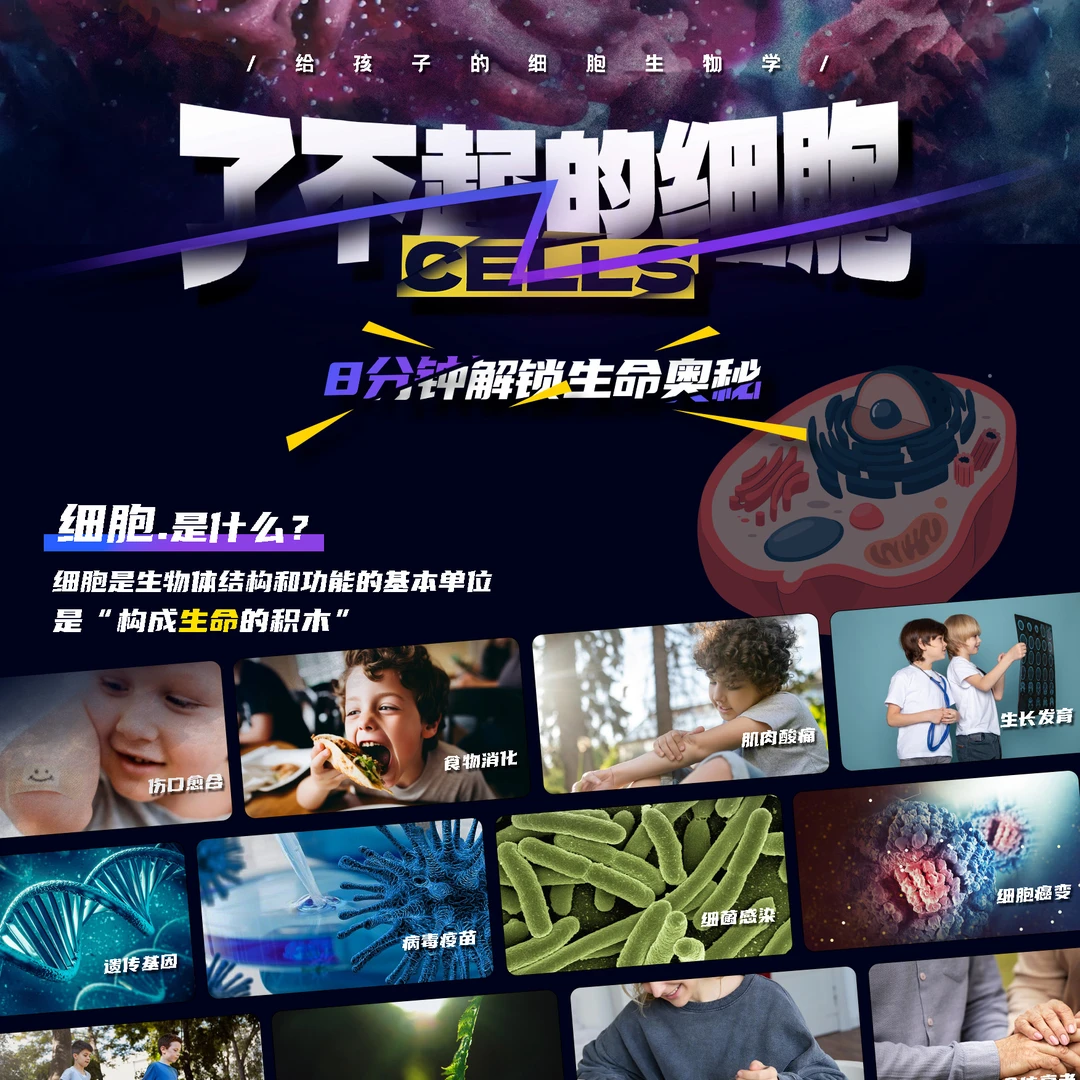 了不起的细胞视频课