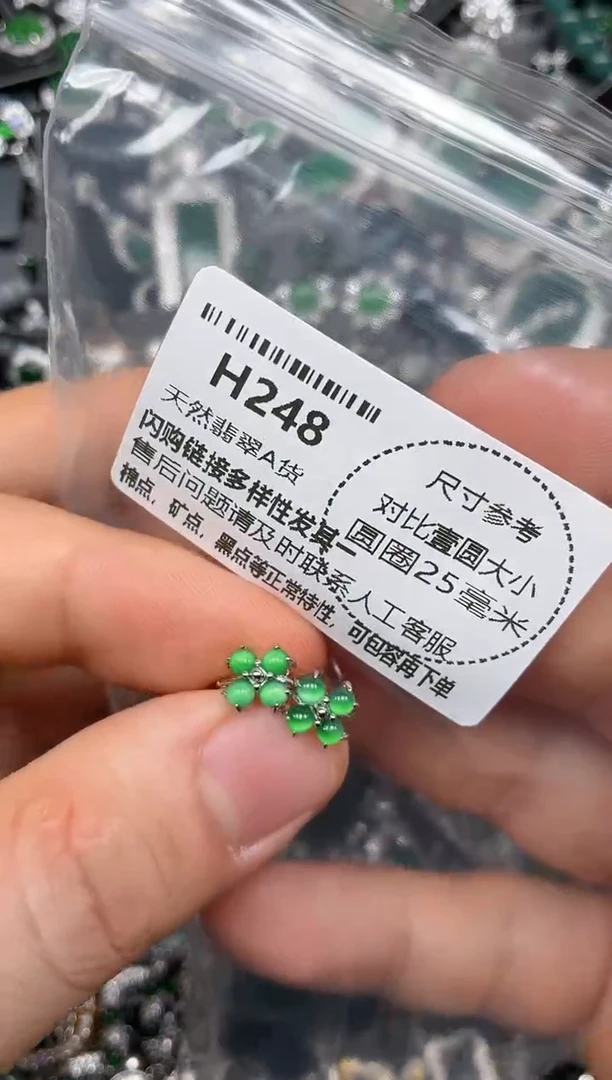 颈饰未镶嵌翡翠H248耳扣