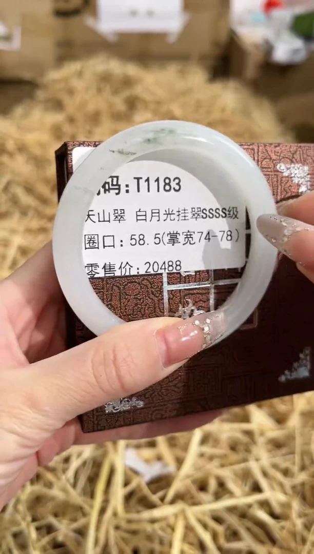 未镶嵌手镯石英质玉T1183