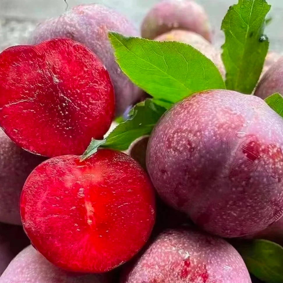 【买三斤送二斤】广西红心三华李当季新鲜水果酸甜脆爽现摘现发jqb