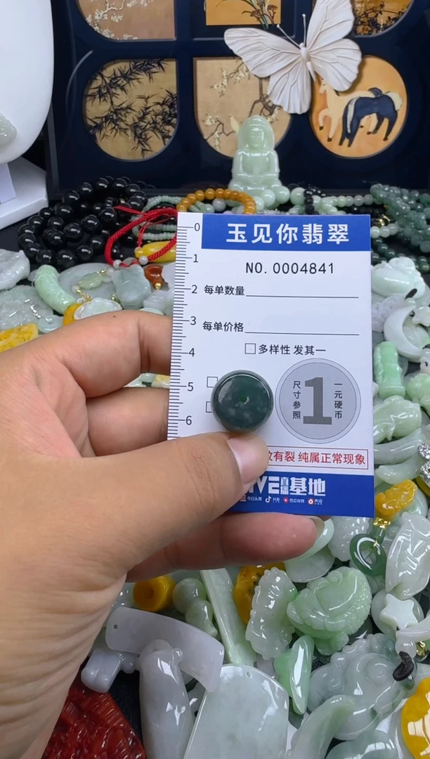 翡翠未镶嵌吊坠(不含链)4841