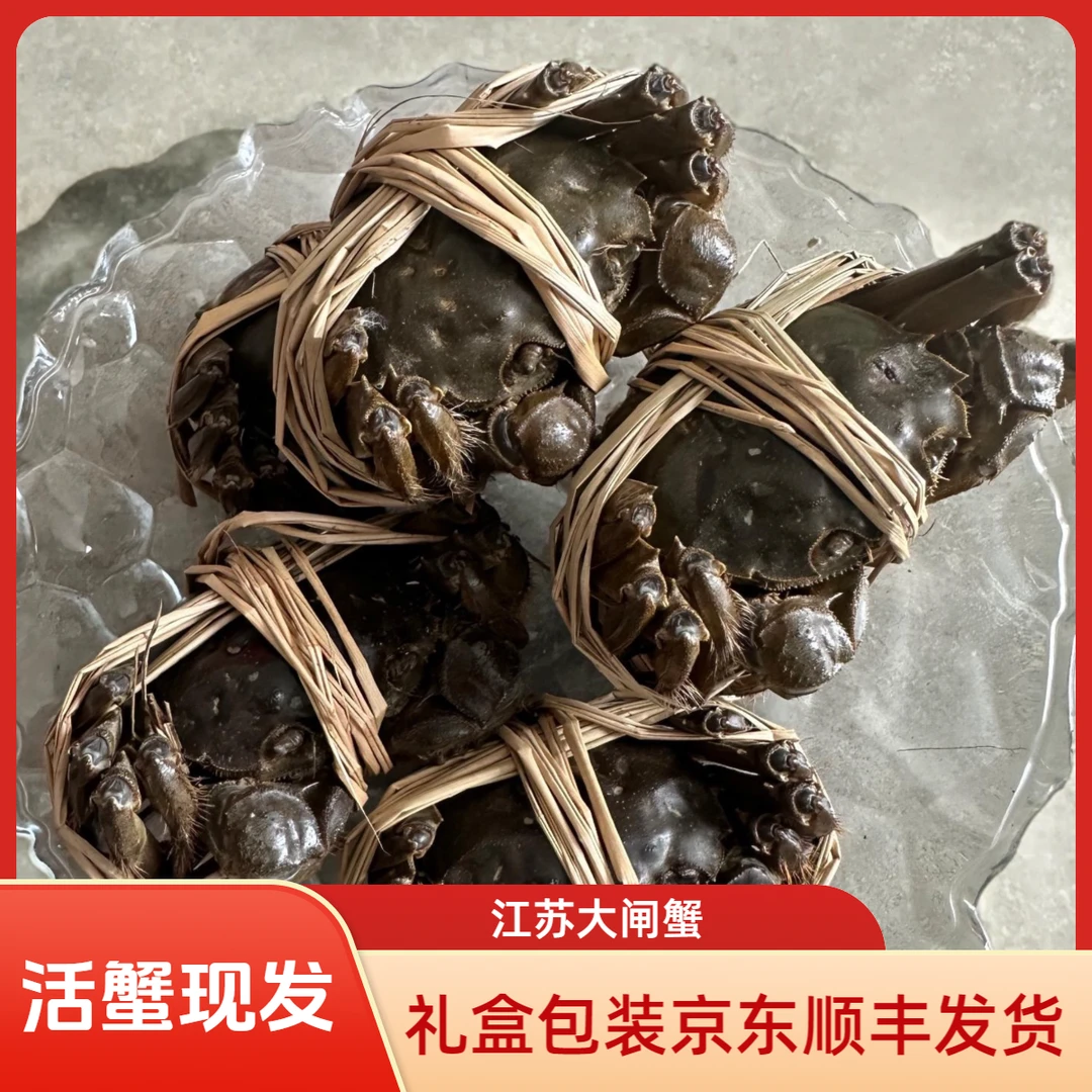 江苏大闸蟹【全母8只送2只】河蟹3.2-2.7两礼盒装发顺丰京东