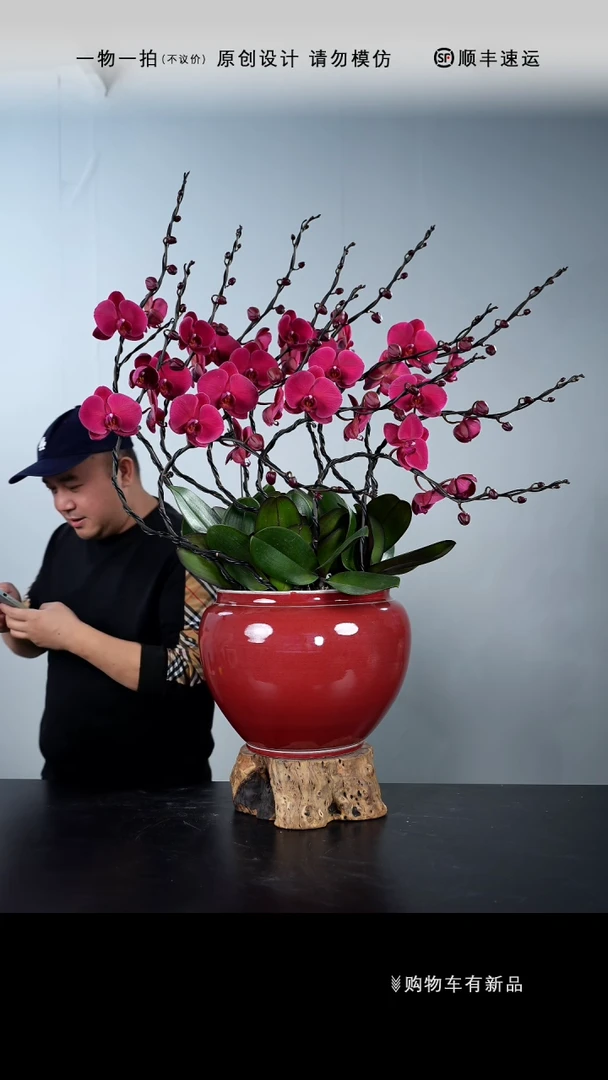 【闪购商品】【一物一拍】艺术盆景