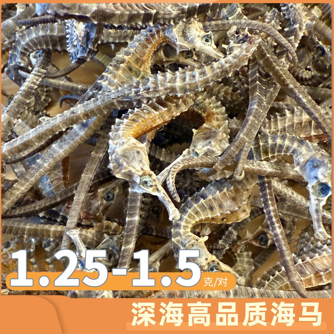 甄选深海溯源码正品海马夫妻小朋友煲汤组合