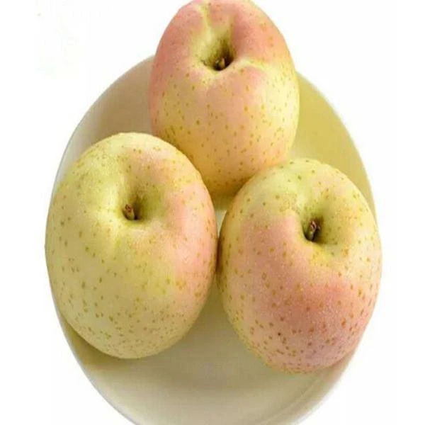 王林苹果500g-650g（3个左右）