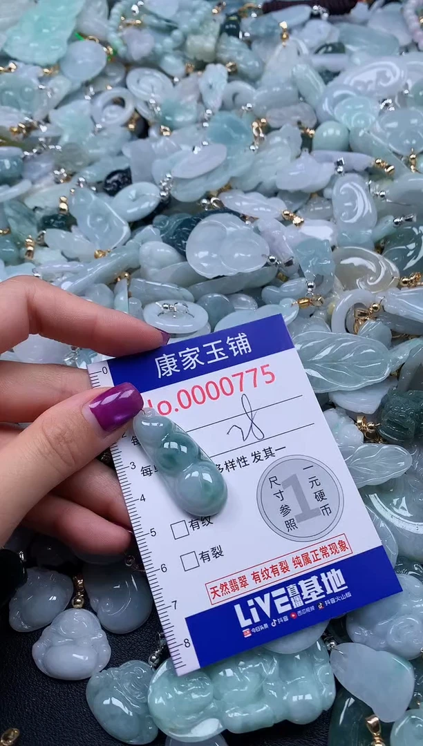 颈饰未镶嵌翡翠775