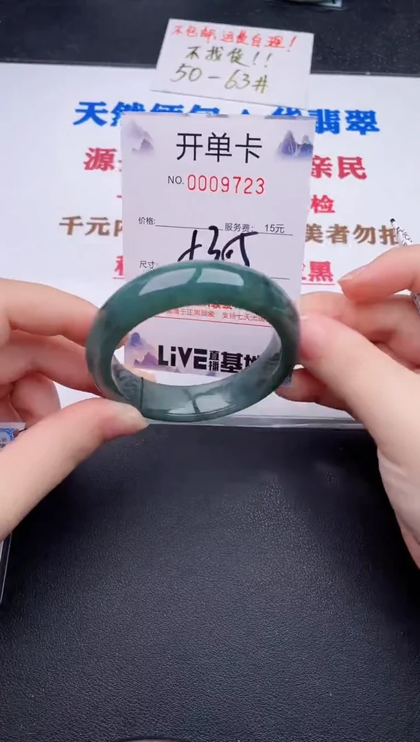 未镶嵌手镯翡翠23