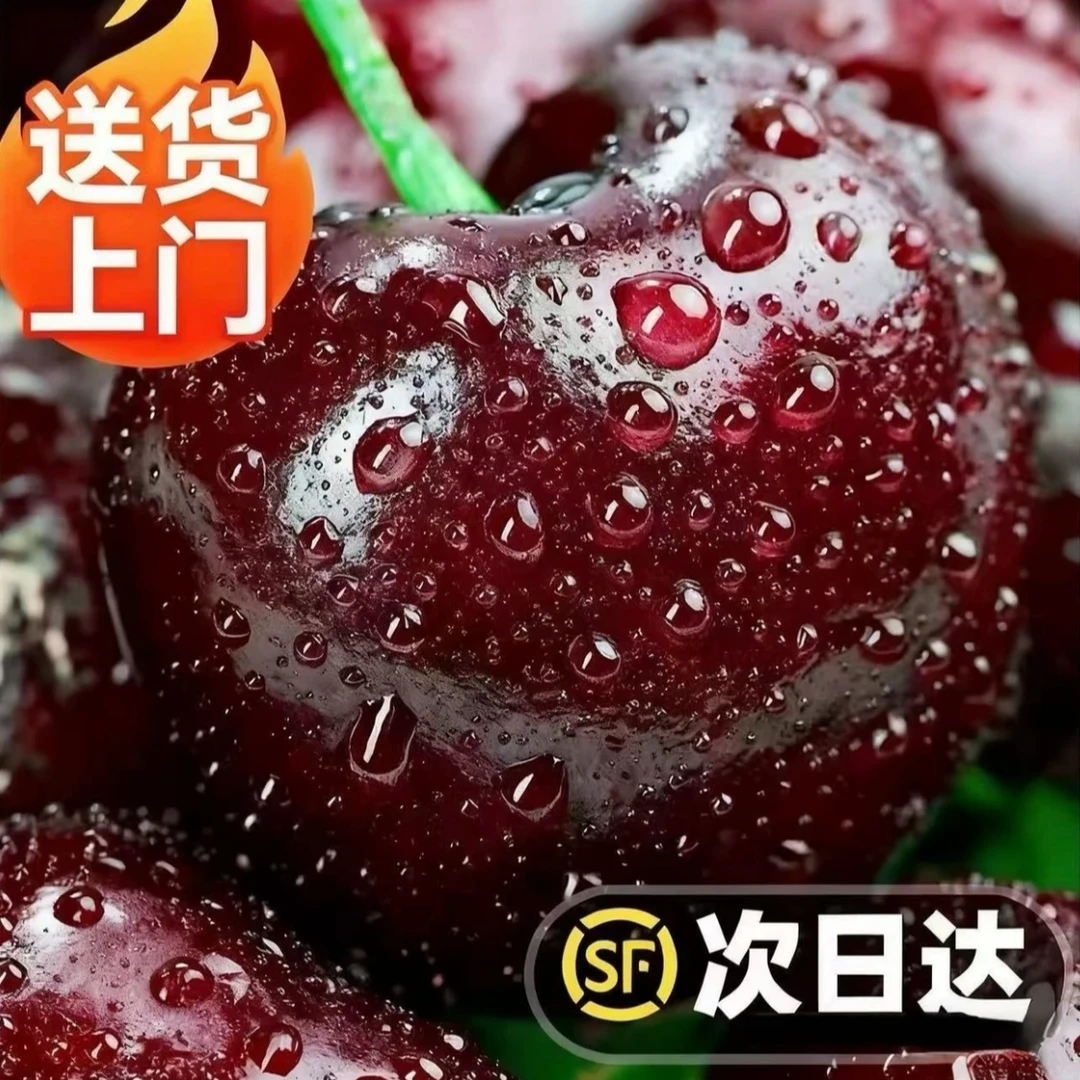 2JD【五斤原箱·明天到】智利海运桑提娜车厘子应季水果脆甜顺丰京东内附果径卡桑提娜樱桃智利共和国