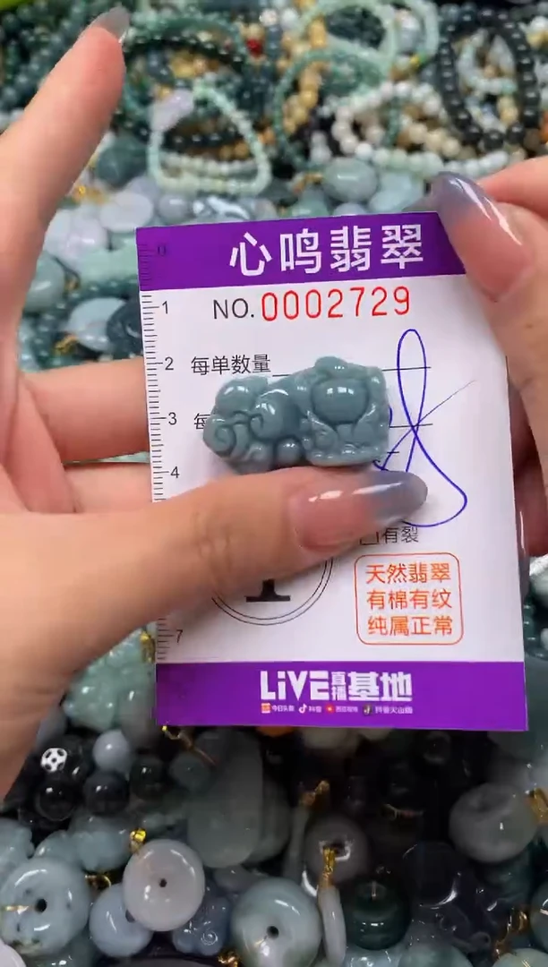 颈饰未镶嵌翡翠闪购002729
