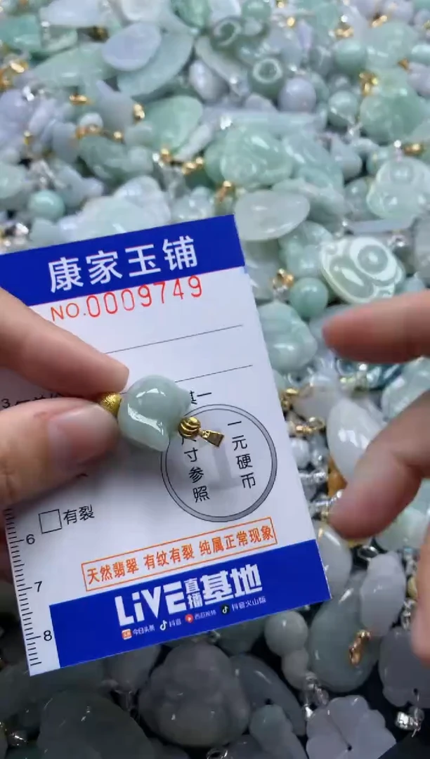 颈饰未镶嵌翡翠9759