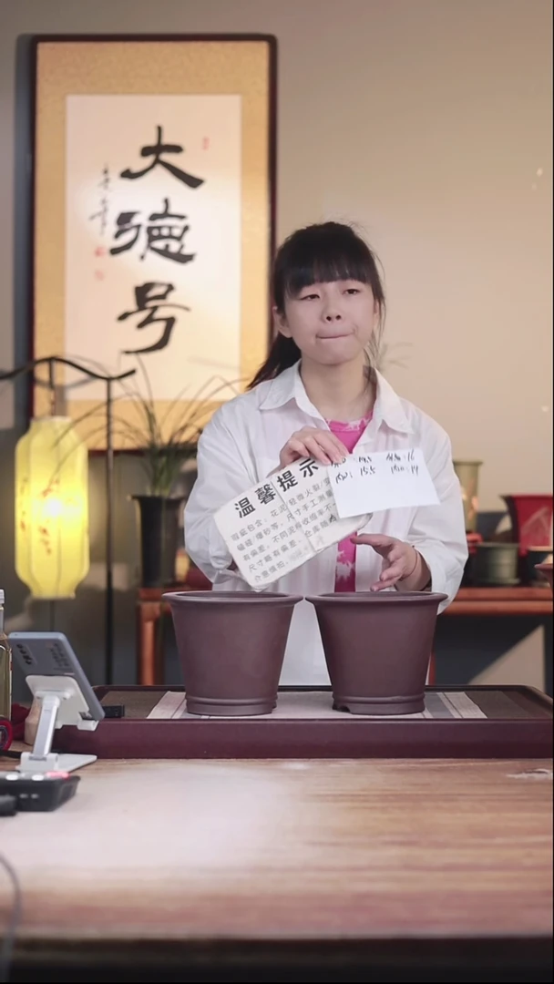 紫砂花盆瑕疵紫泥圆斗笠一对无托