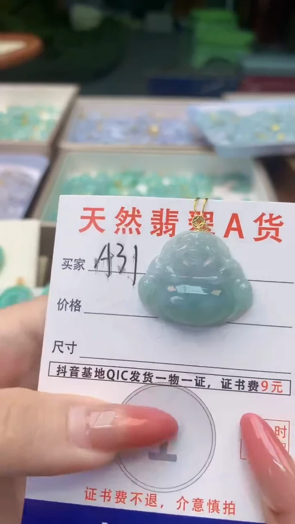 颈饰未镶嵌翡翠天然A货翡翠挂件