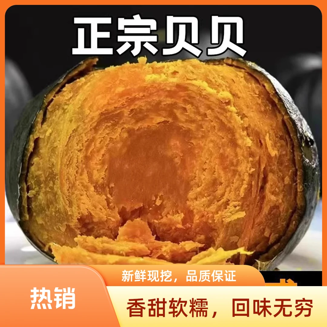 沙地贝贝南瓜粉糯香甜味适合宝宝辅食