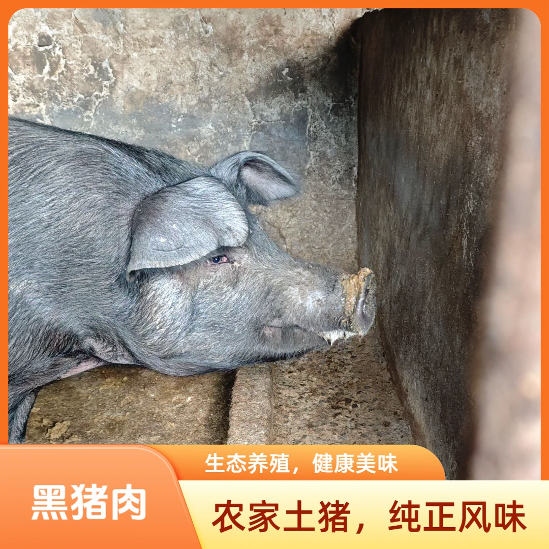 ①号【五花、前腿、后腿、瘦肉】城口大巴山农家黑猪熟食杂粮喂养土猪肉