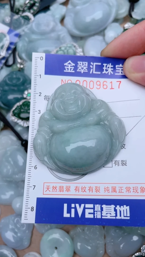 翡翠未镶嵌颈饰9617