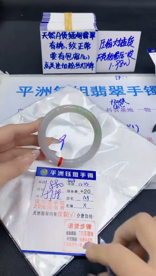 未镶嵌手镯翡翠1