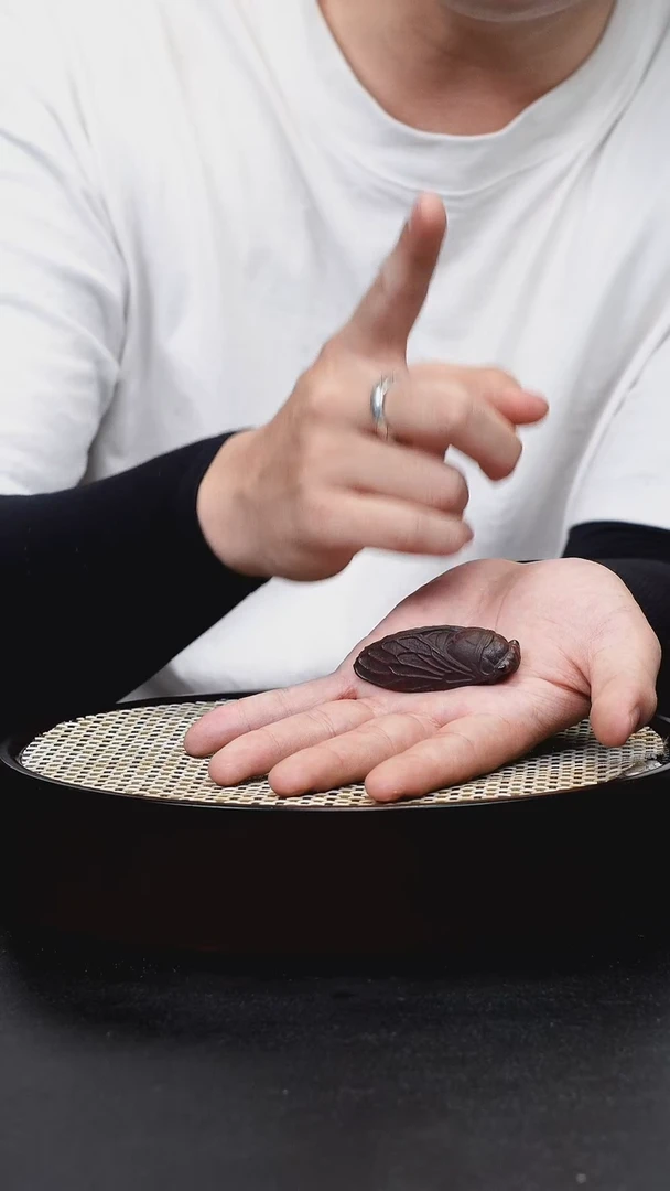 茶壶紫砂紫砂知了茶宠