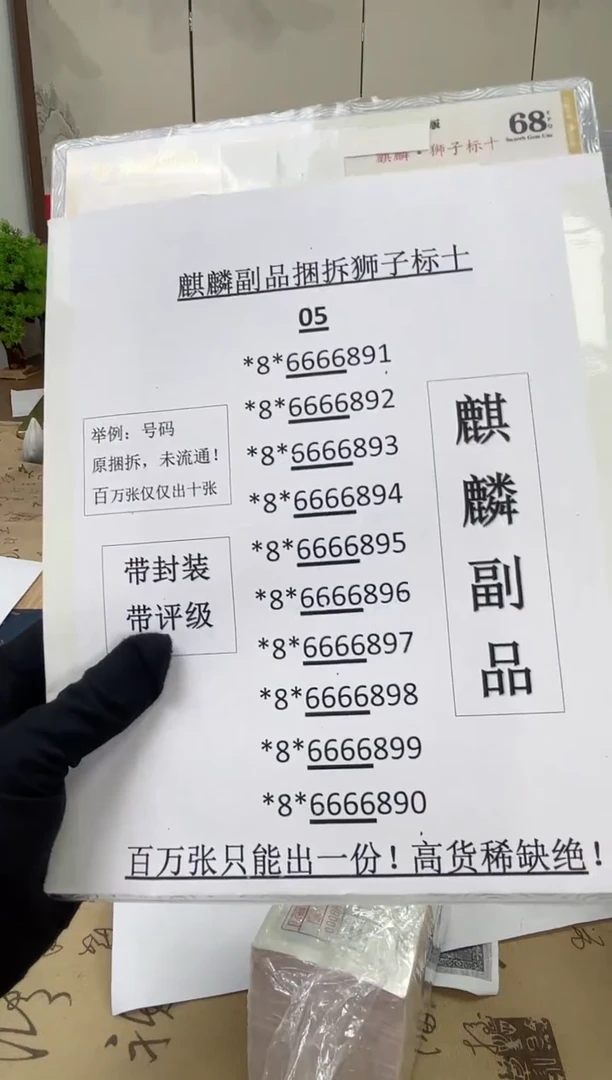 【05麒麟捆拆副·狮子标十】