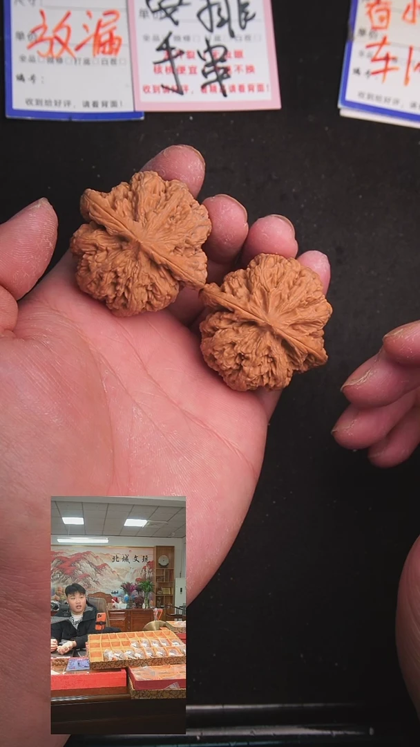 【闪购商品】文玩核桃把件50号45大粗筋 全品