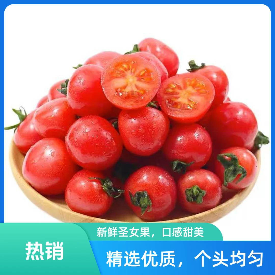 【广东电白】冰糖千禧小番茄京东包邮到家