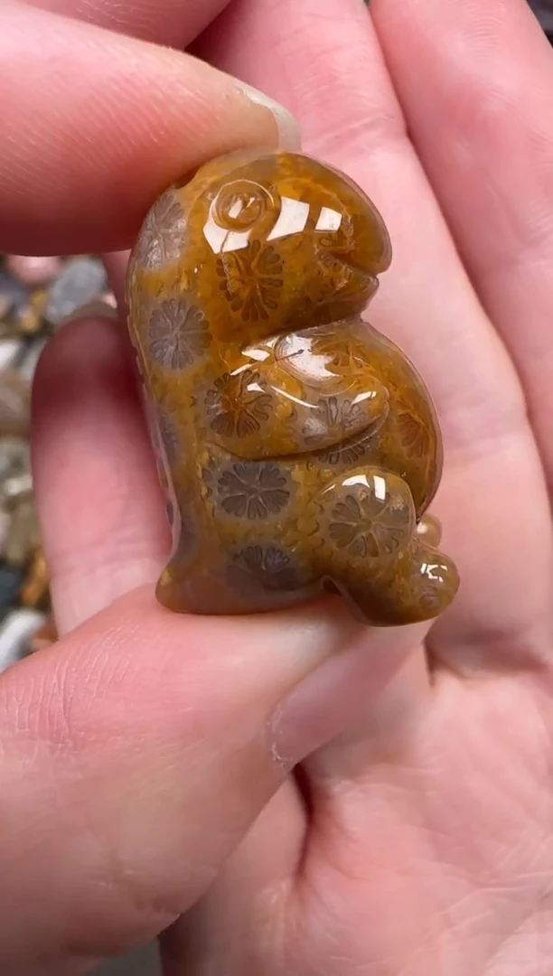 颈饰未镶嵌硅化珊瑚（珊瑚玉）205