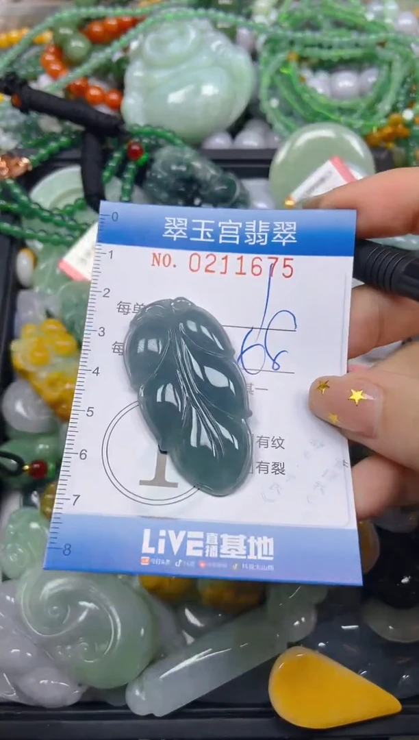 颈饰未镶嵌翡翠闪购C0211675