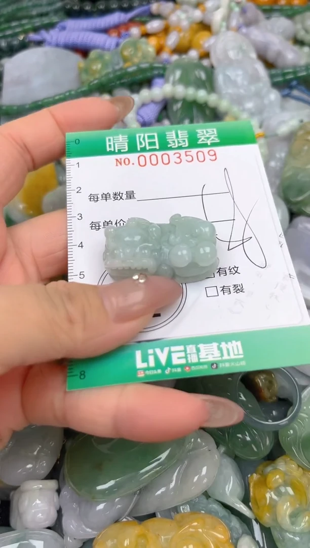 颈饰未镶嵌翡翠闪购0003509