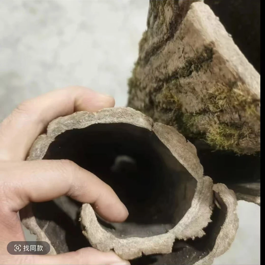 贵州野生杜仲皮不切丝